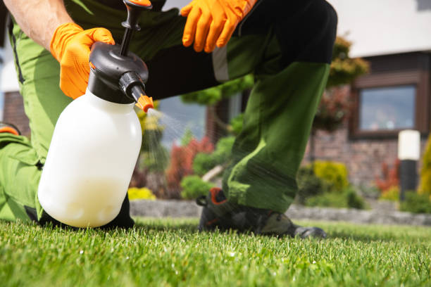 Best Affordable Pest Control Services  in Middletown, CA